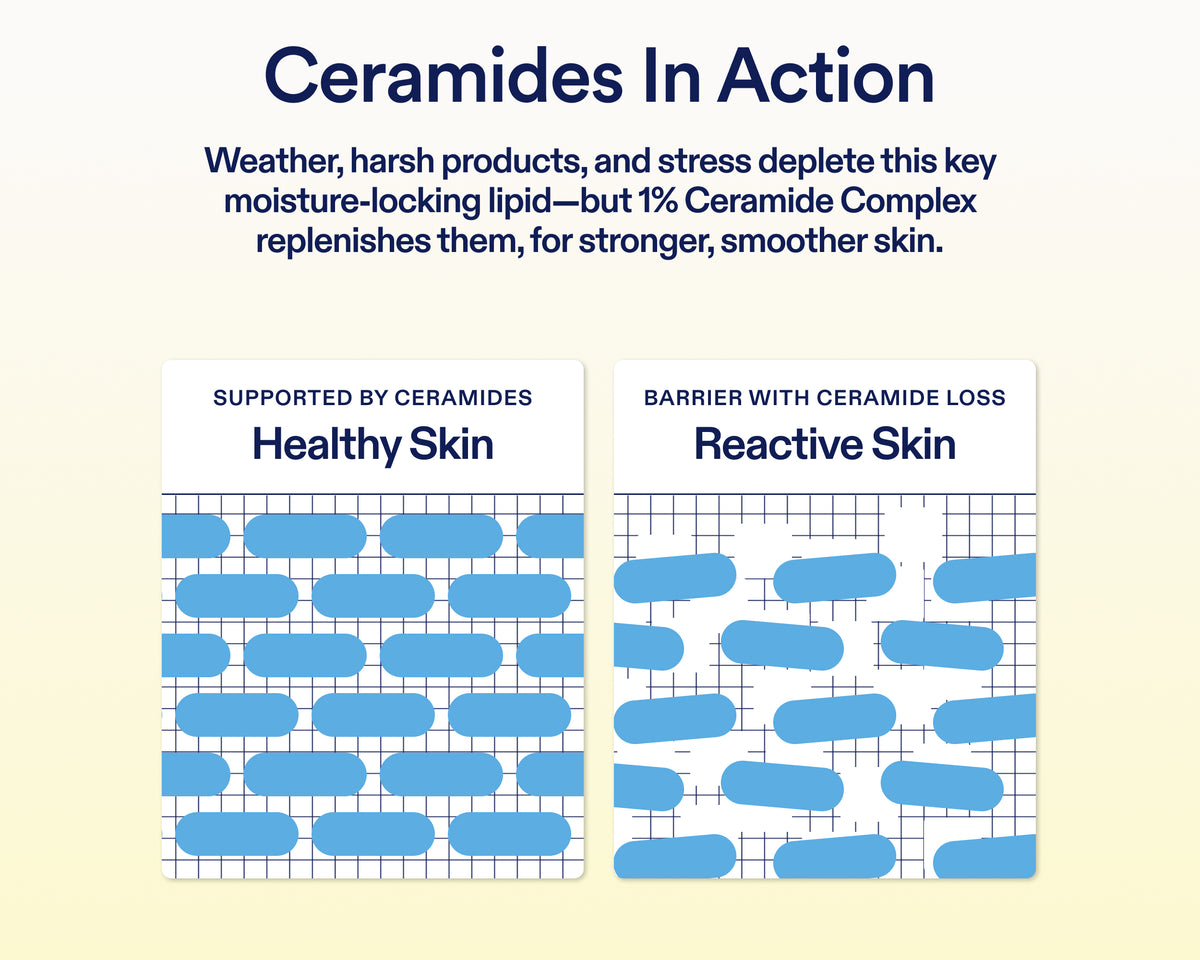 An informational graphic titled 'Ceramides In Action' with explanatory text about moisture-locking lipids and two illustrated panels showing 'Healthy Skin' and 'Reactive Skin' with blue ceramide-like shapes on a grid background.