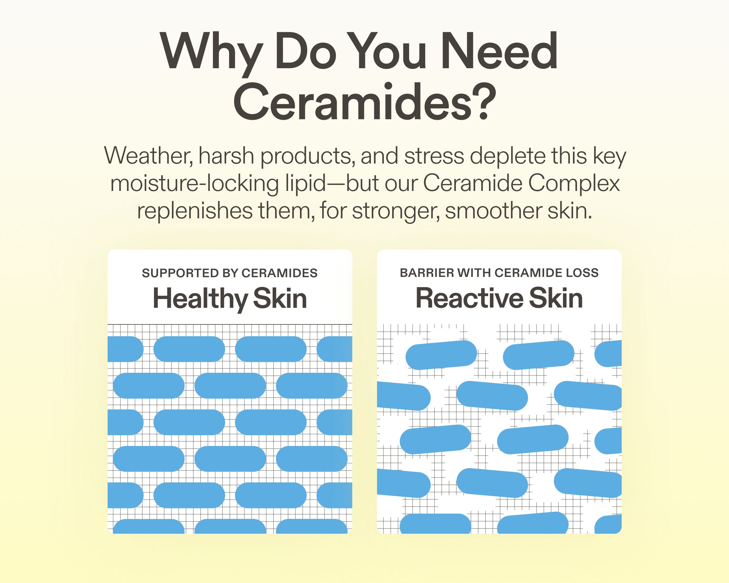 Illustrated diagram comparing healthy skin supported by ceramides — showing tightly packed, organized lipid layers — versus reactive skin with ceramide loss — showing disorganized, gapped lipid layers. Text reads: Why Do You Need Ceramides? Weather, harsh products, and stress deplete this key moisture-locking lipid — but our Ceramide Complex replenishes them, for stronger, smoother skin.