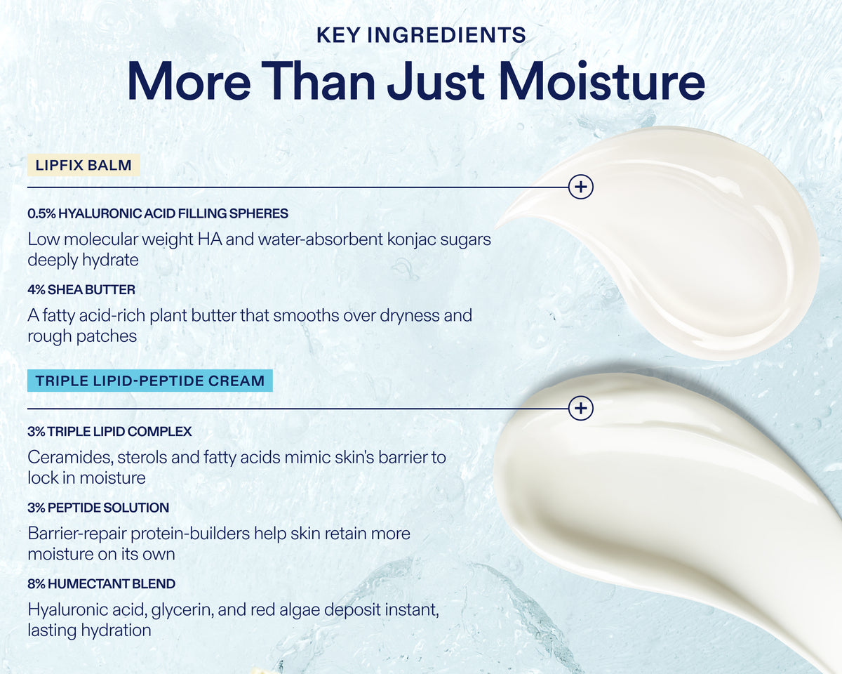 An informational graphic for a skincare product showing the text 'More Than Just Moisture' and 'Key Ingredients,' with ingredient descriptions for Lipfix Balm and Triple Lipid-Peptide Cream and illustrated white cream droplets on a pale icy blue background.